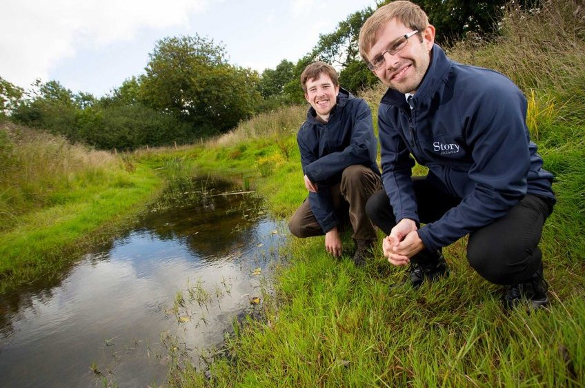 Great Crested Newt Translocation