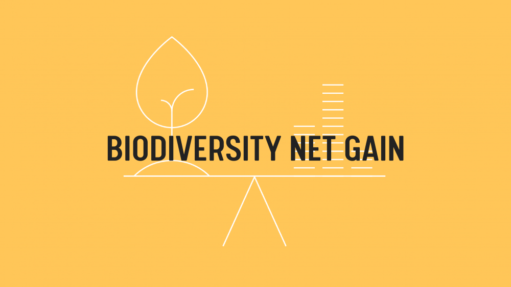 FAQs: Biodiversity Net Gain (1)
